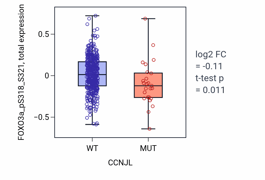 Box plot of FOXO3a_pS318_S321 in CCNJL-low vs CCNJL-high samples in UCEC.