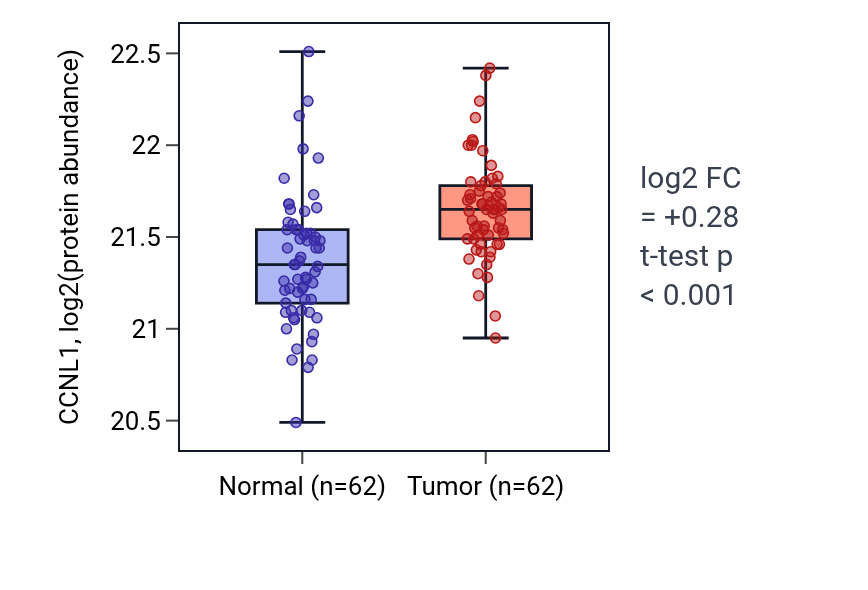 Tumor-vs-normal mass-spec protein box plot for CCNL1 in HNSC.