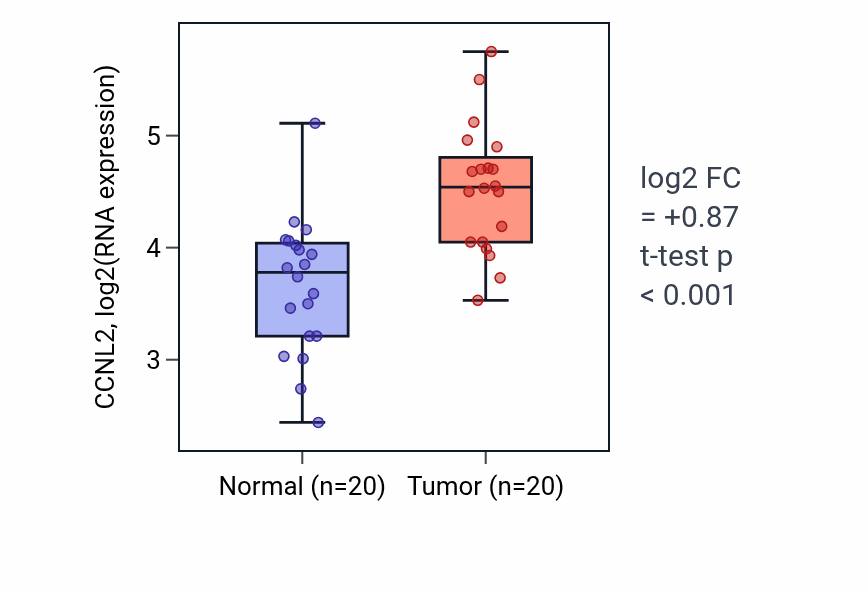 Tumor-vs-normal expression box plot for CCNL2 in KIRC.