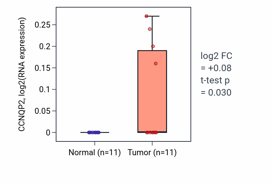 Tumor-vs-normal expression box plot for CCNQP2 in UCEC.