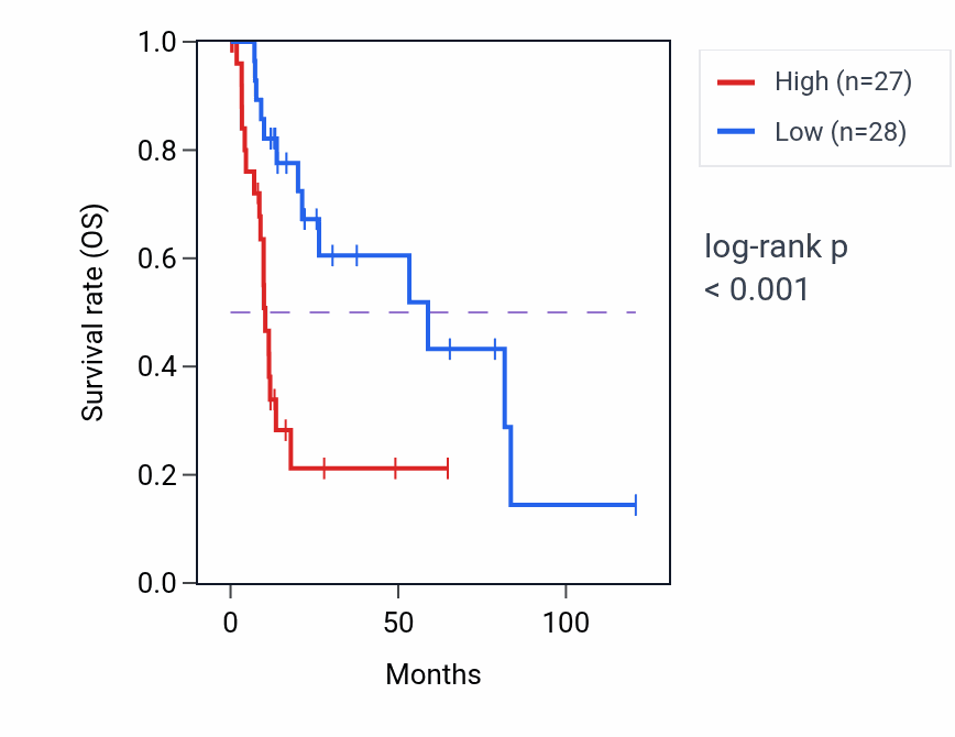 Kaplan&ndash;Meier survival curve for CCZ1B RNA expression in LIHC: high vs low expression groups.