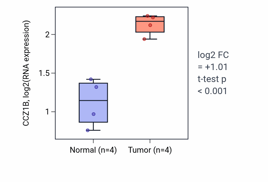 Tumor-vs-normal expression box plot for CCZ1B in KIRP.