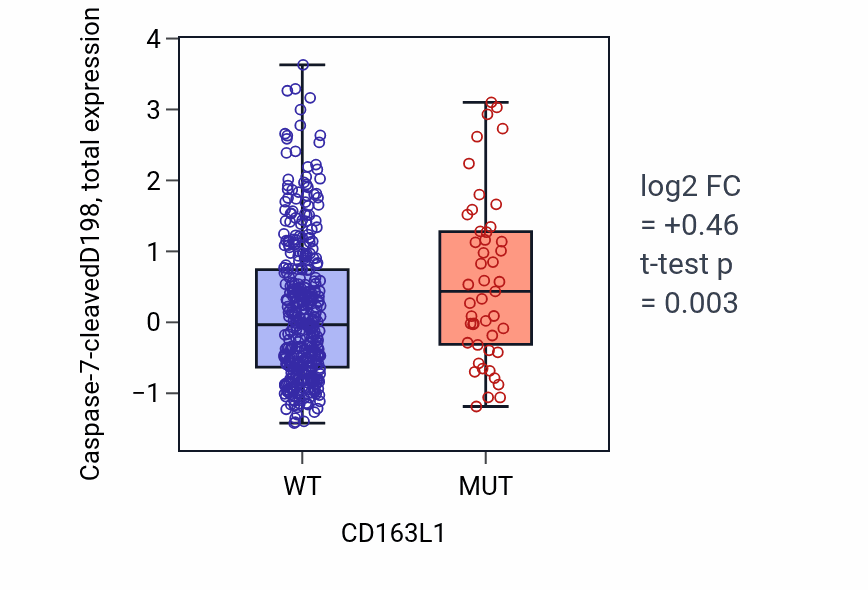 Box plot of Caspase-7-cleavedD198 in CD163L1-low vs CD163L1-high samples in UCEC.