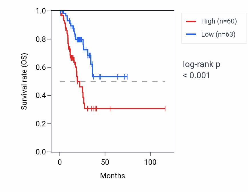 Kaplan&ndash;Meier survival curve for CD200R1L RNA expression in STAD: high vs low expression groups.