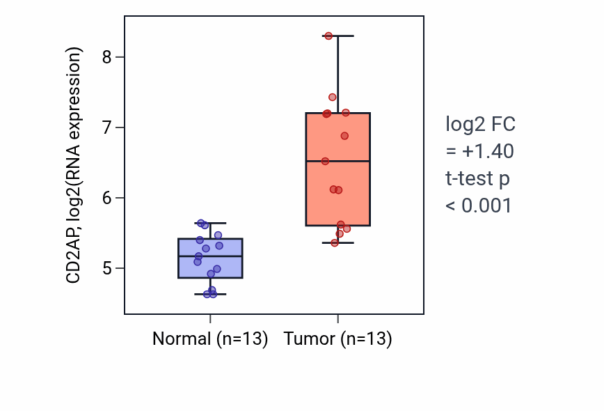 Tumor-vs-normal expression box plot for CD2AP in LUAD.