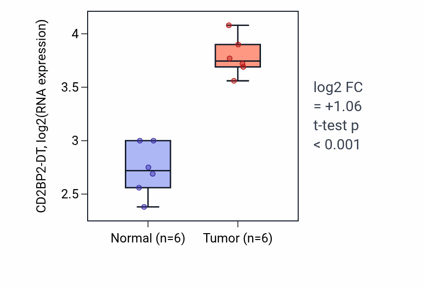 Tumor-vs-normal expression box plot for CD2BP2-DT RNA in KIRC.