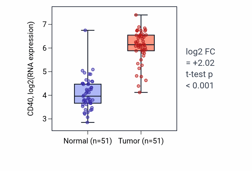 Tumor-vs-normal expression box plot for CD40 in KIRC.