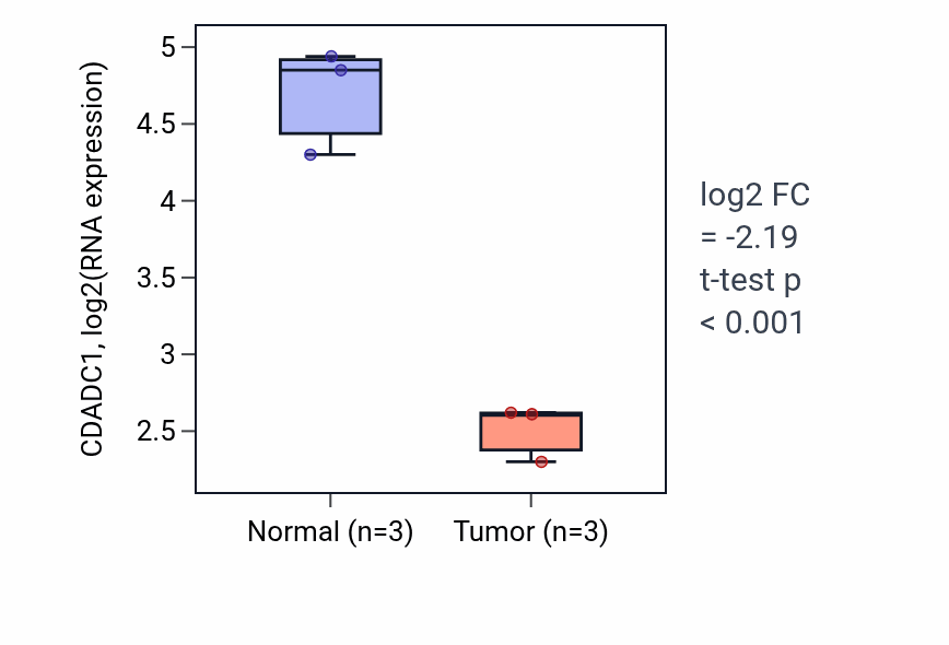 Tumor-vs-normal expression box plot for CDADC1 in THCA.