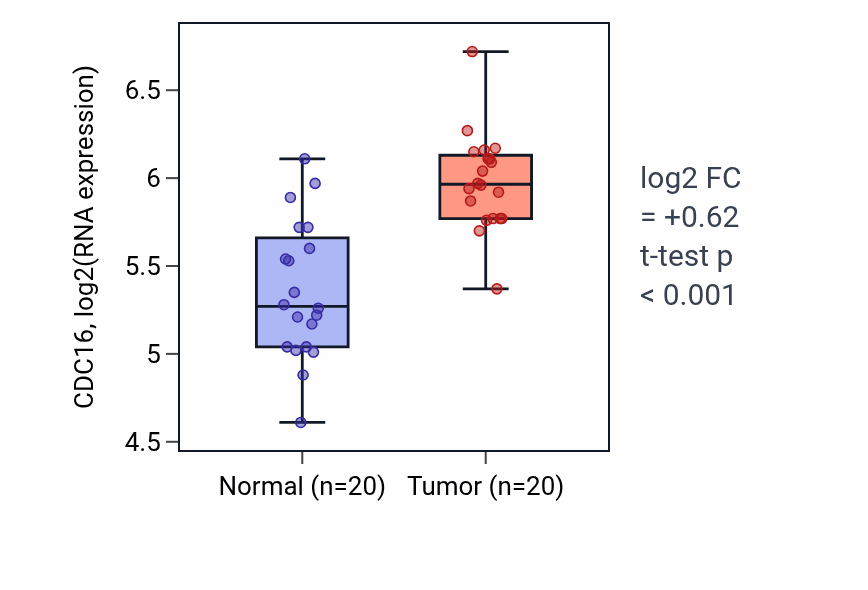 Tumor-vs-normal expression box plot for CDC16 in KIRC.