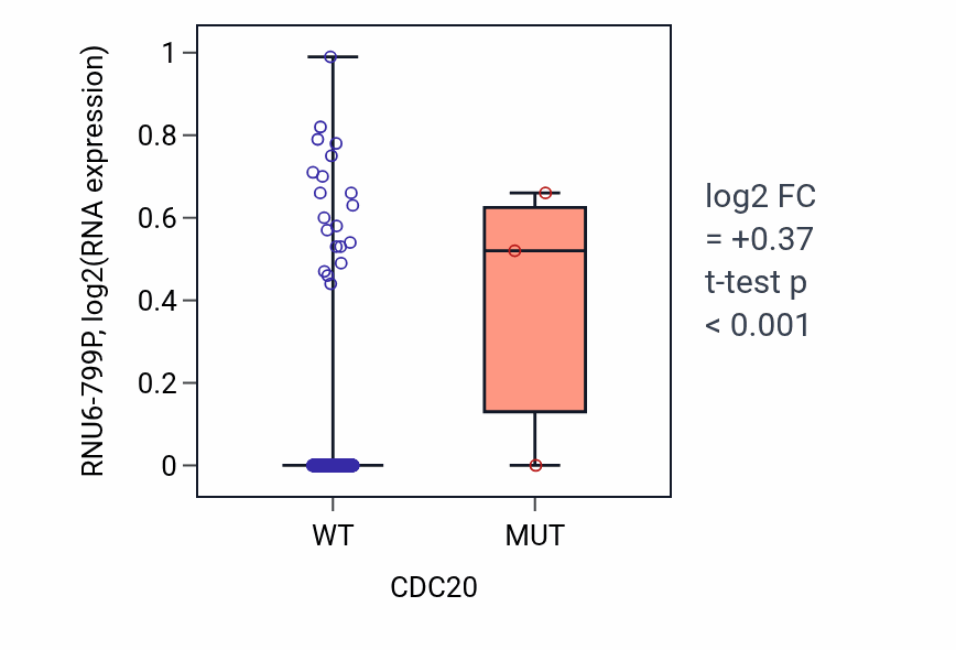 Box plot of RNU6-799P in CDC20-low vs CDC20-high samples in HNSC.