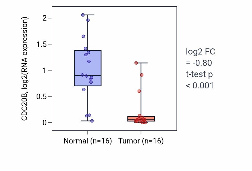 Tumor-vs-normal expression box plot for CDC20B in KIRP.