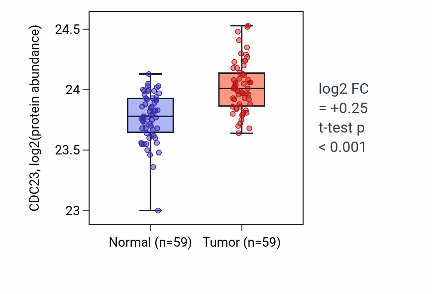 Tumor-vs-normal mass-spec protein box plot for CDC23 in HNSC.