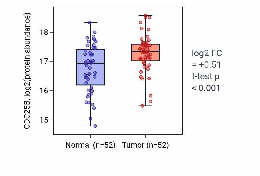 Tumor-vs-normal mass-spec protein box plot for CDC25B in LSCC.