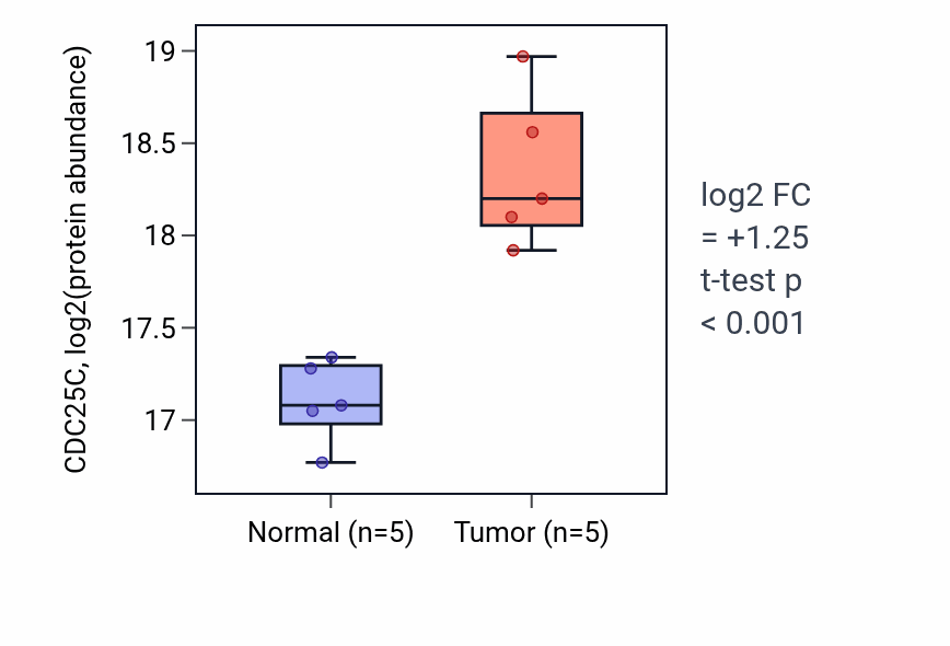 Tumor-vs-normal mass-spec protein box plot for CDC25C in LSCC.