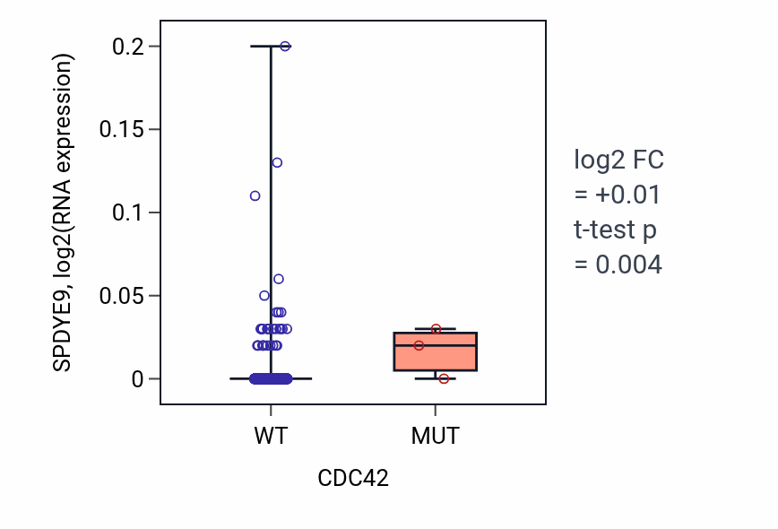 Box plot of SPDYE9 in CDC42-low vs CDC42-high samples in BRCA.