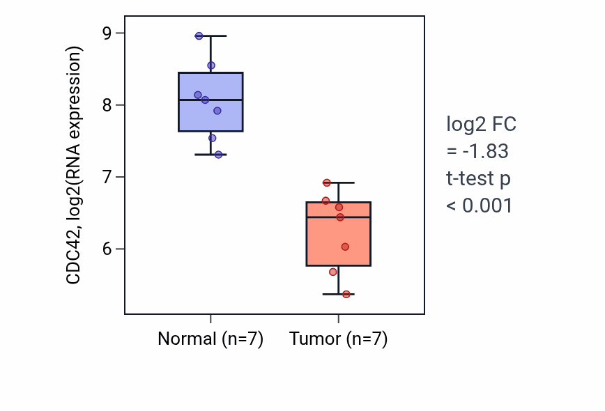 Tumor-vs-normal expression box plot for CDC42 in KICH.