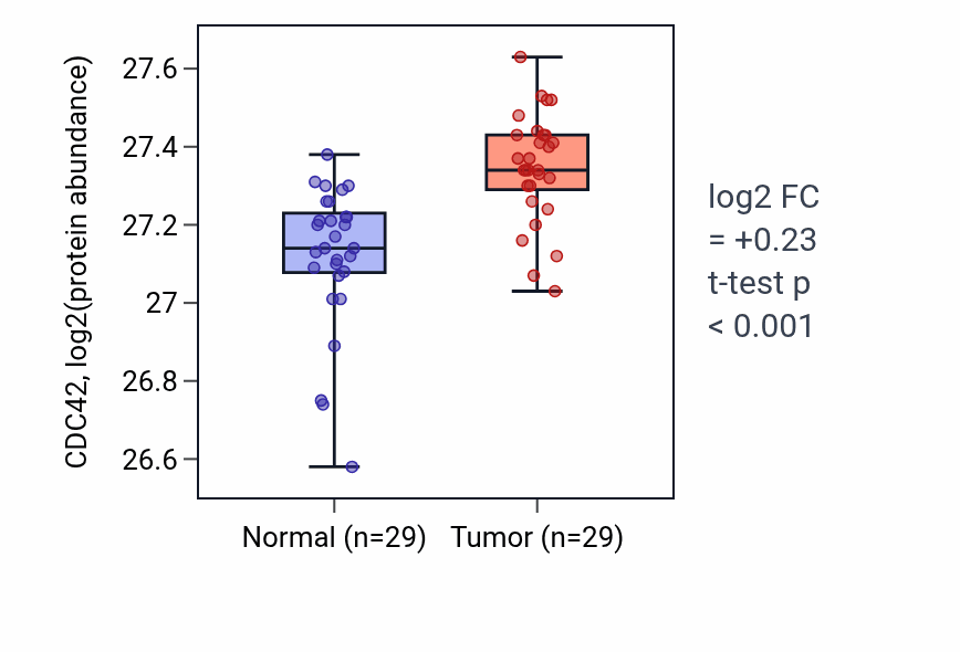 Tumor-vs-normal mass-spec protein box plot for CDC42 in CCRCC.