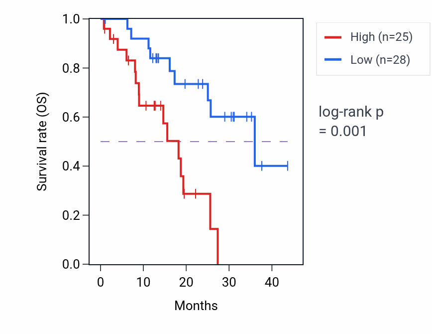 Kaplan&ndash;Meier survival curve for CDC42P2 RNA expression in STAD: high vs low expression groups.