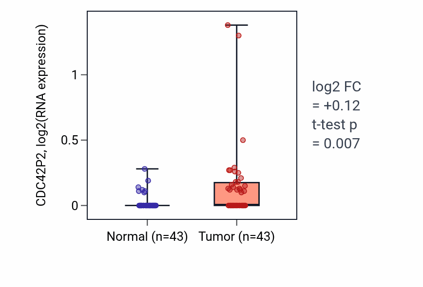 Tumor-vs-normal expression box plot for CDC42P2 in HNSC.
