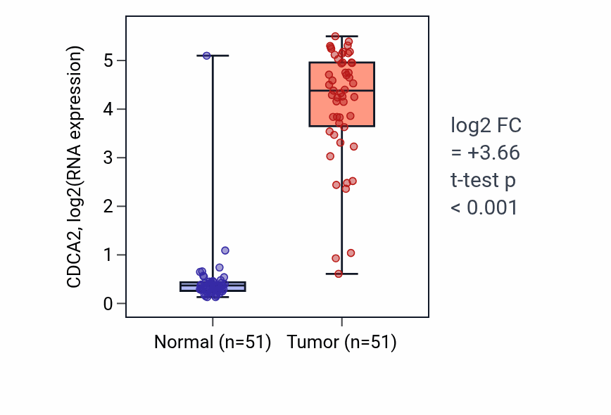 Tumor-vs-normal expression box plot for CDCA2 in KIRC.