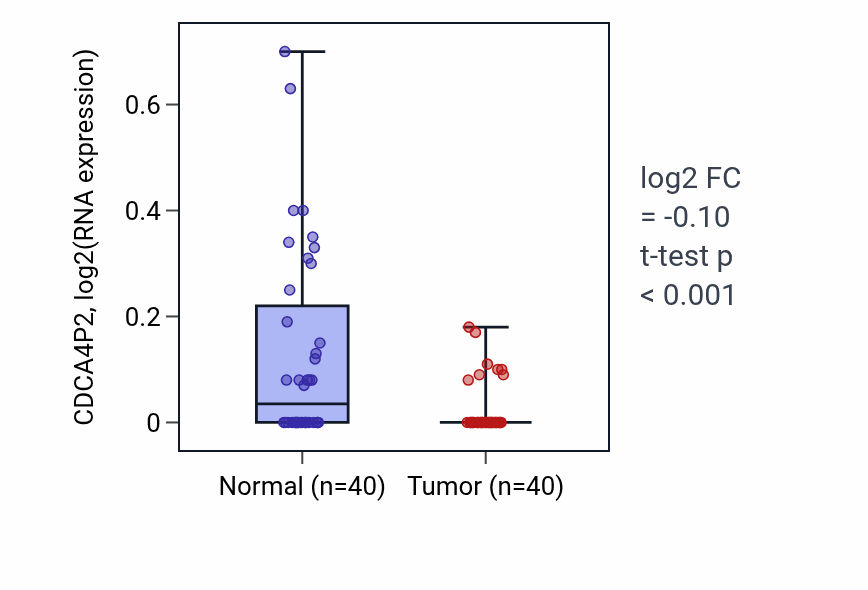 Tumor-vs-normal expression box plot for CDCA4P2 in HNSC.