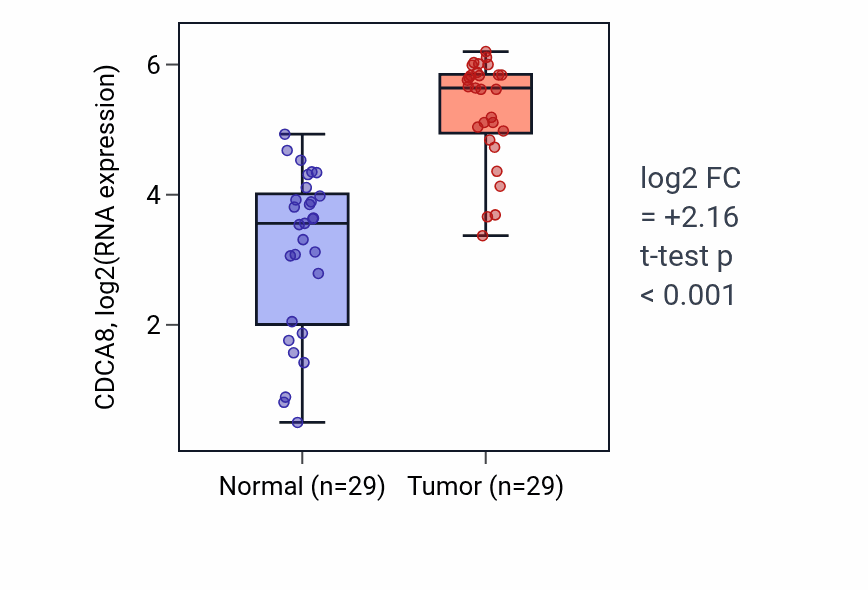 Tumor-vs-normal expression box plot for CDCA8 in HNSC.