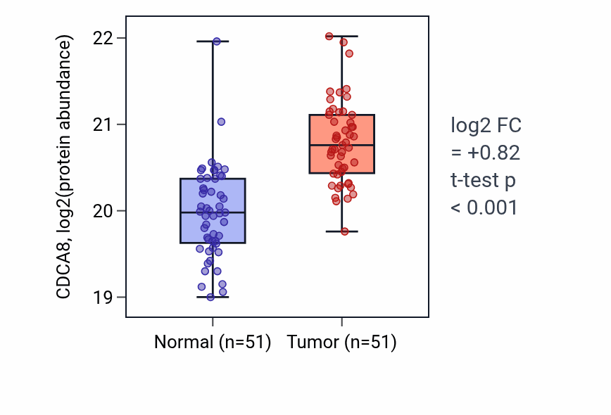 Tumor-vs-normal mass-spec protein box plot for CDCA8 in LSCC.