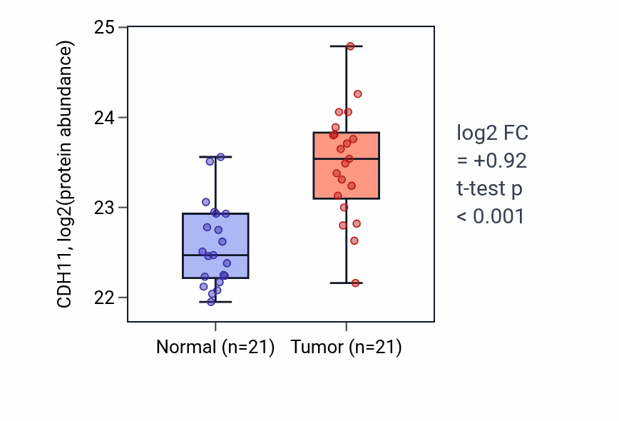 Tumor-vs-normal mass-spec protein box plot for CDH11 in HNSC.