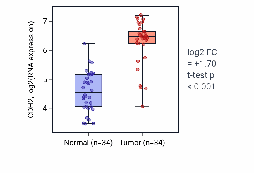 Tumor-vs-normal expression box plot for CDH2 in KIRC.