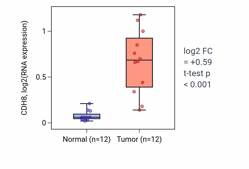 Tumor-vs-normal expression box plot for CDH8 in KIRC.