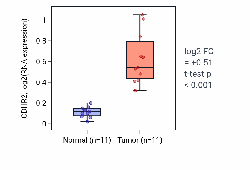 Tumor-vs-normal expression box plot for CDHR2 in HNSC.