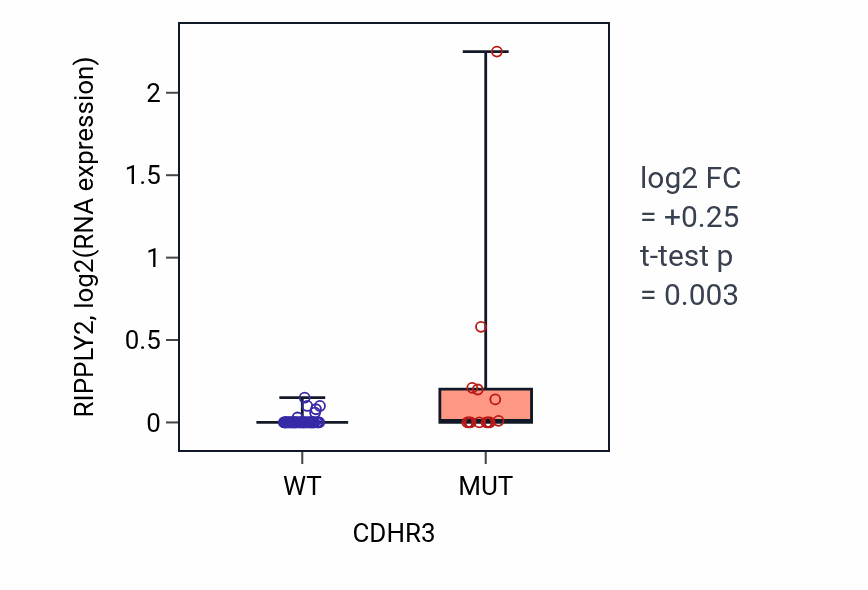 Box plot of RIPPLY2 in CDHR3-low vs CDHR3-high samples in LARGE_INTESTINE.