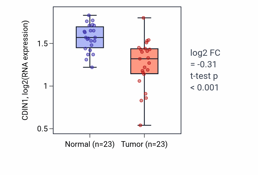 Tumor-vs-normal expression box plot for CDIN1 in THCA.