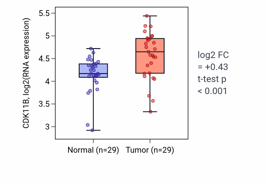 Tumor-vs-normal expression box plot for CDK11B in HNSC.