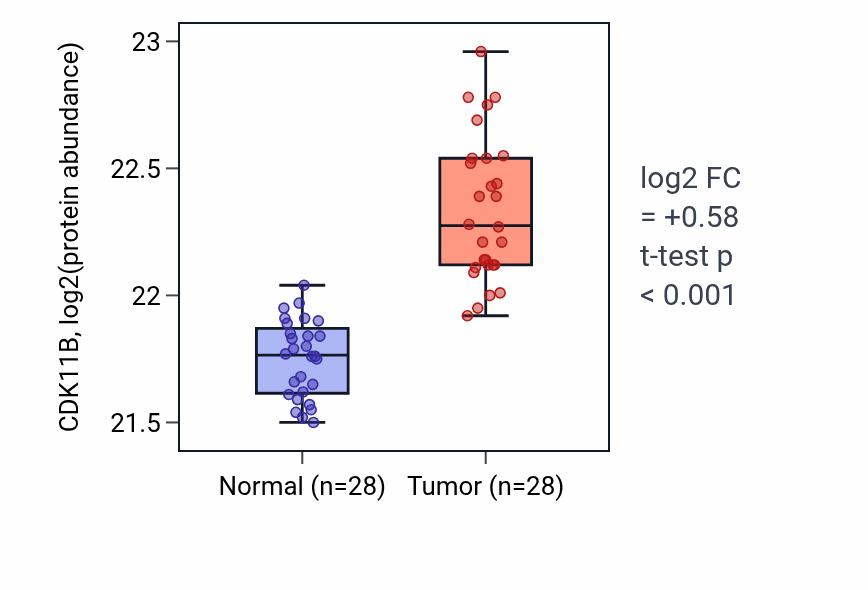 Tumor-vs-normal mass-spec protein box plot for CDK11B in COAD.