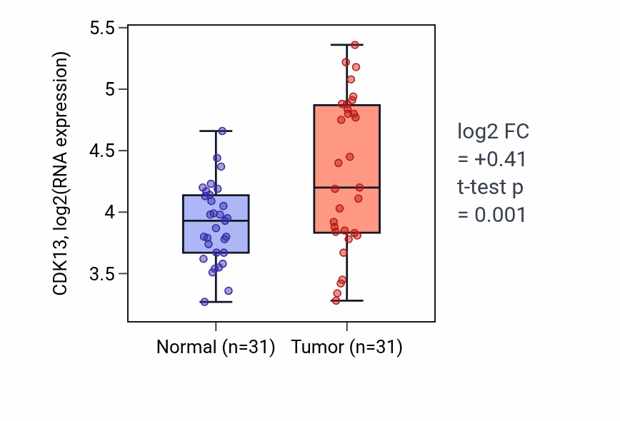 Tumor-vs-normal expression box plot for CDK13 in KIRP.