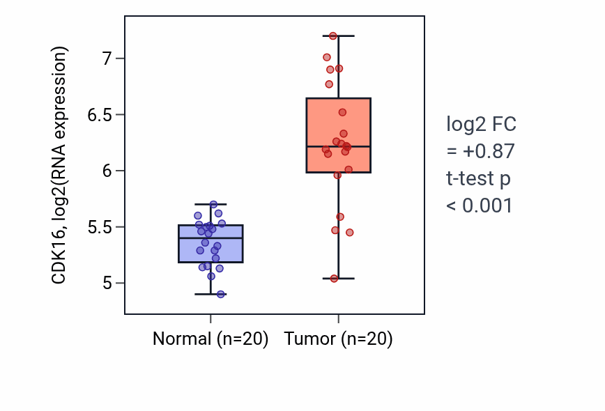 Tumor-vs-normal expression box plot for CDK16 in COAD.