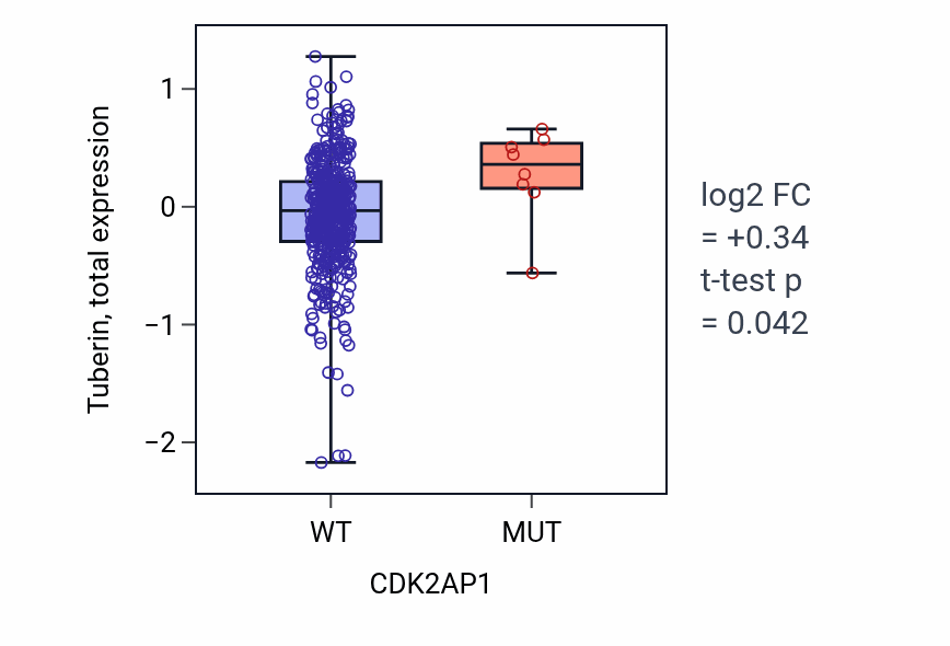 Box plot of Tuberin in CDK2AP1-low vs CDK2AP1-high samples in UCEC.