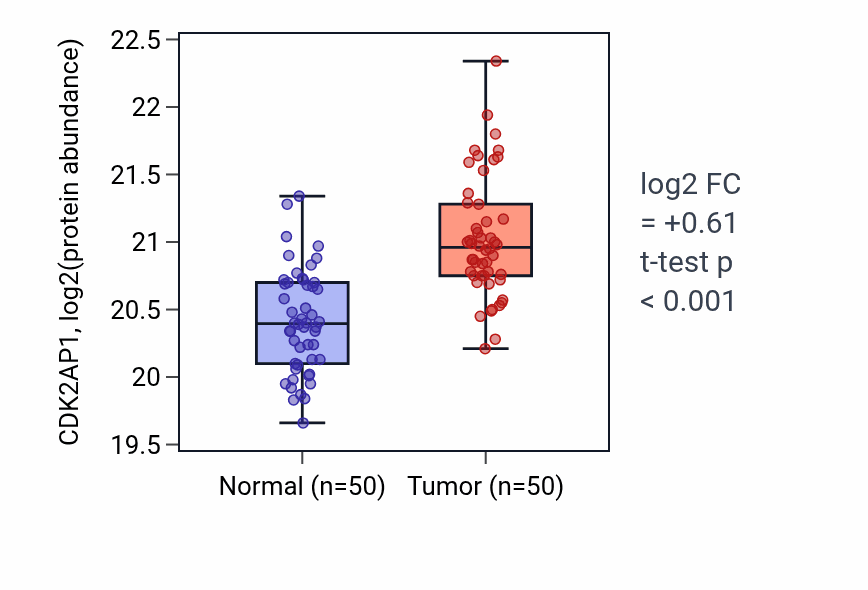 Tumor-vs-normal mass-spec protein box plot for CDK2AP1 in LSCC.