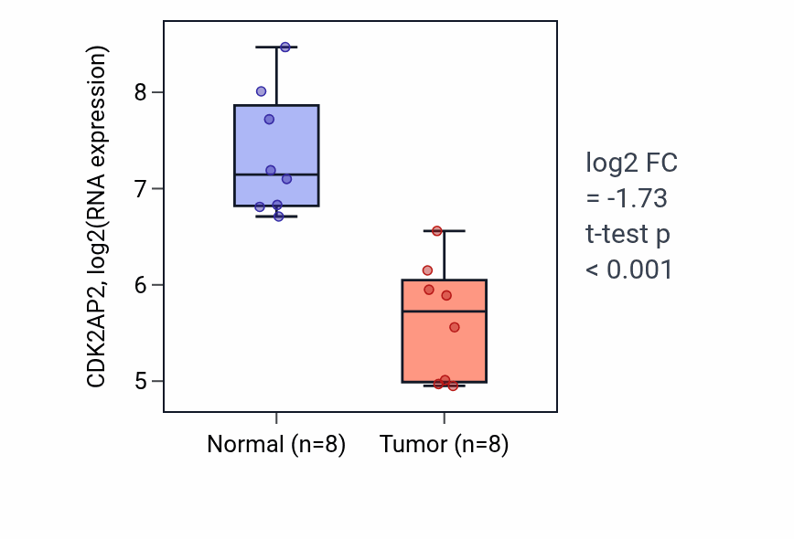 Tumor-vs-normal expression box plot for CDK2AP2 in KICH.