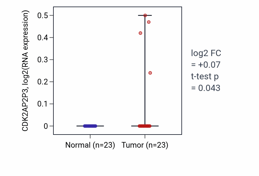 Tumor-vs-normal expression box plot for CDK2AP2P3 in UCEC.