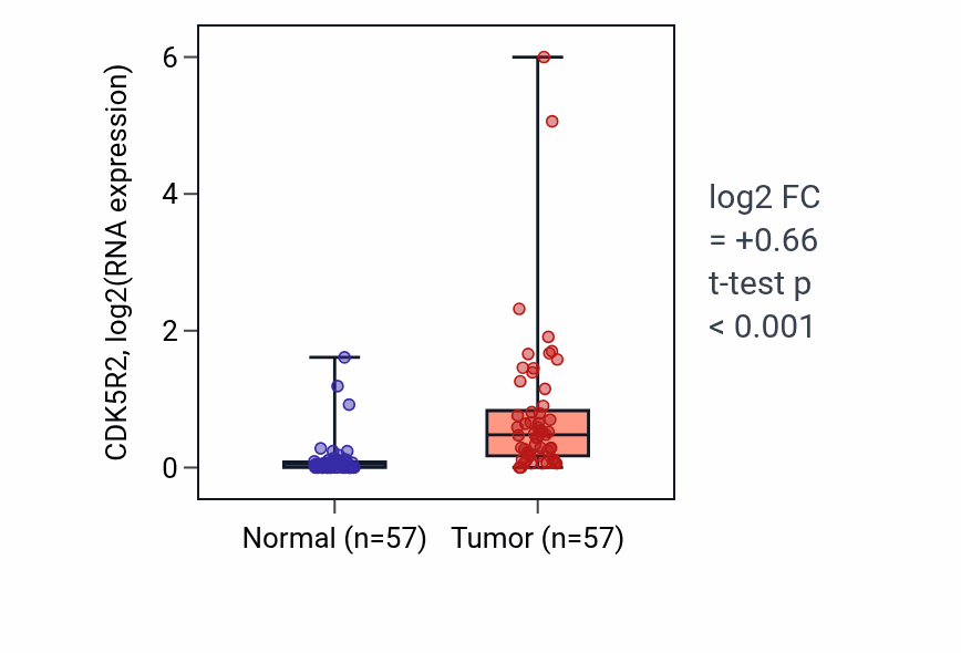 Tumor-vs-normal expression box plot for CDK5R2 in LUAD.