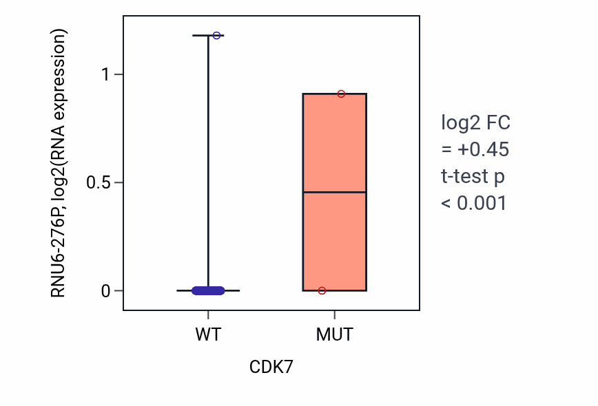 Box plot of RNU6-276P in CDK7-low vs CDK7-high samples in LUSC.