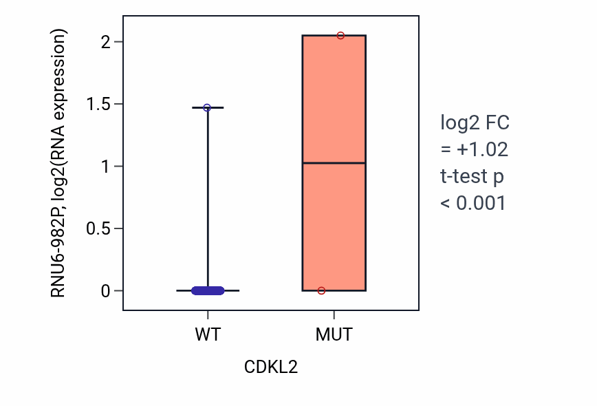 Box plot of RNU6-982P in CDKL2-low vs CDKL2-high samples in LUAD.
