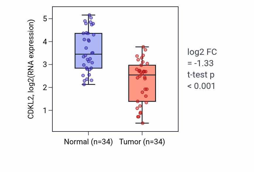 Tumor-vs-normal expression box plot for CDKL2 in KIRC.