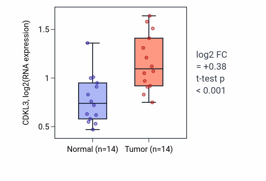 Tumor-vs-normal expression box plot for CDKL3 in KIRC.