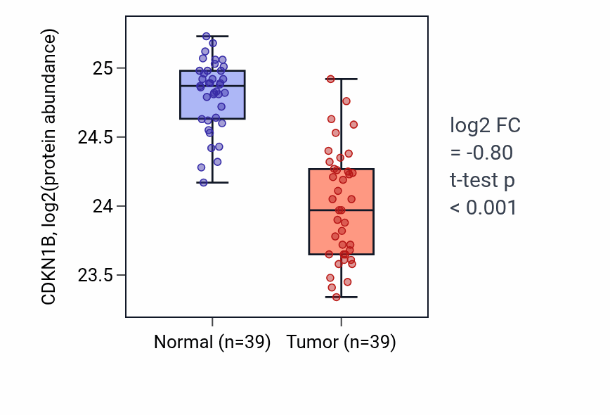 Tumor-vs-normal mass-spec protein box plot for CDKN1B in HNSC.