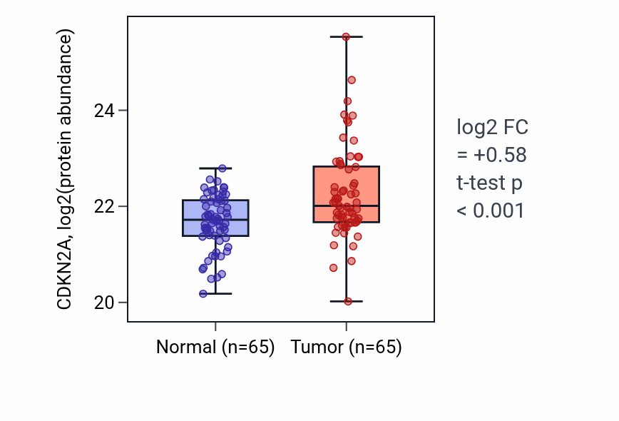Tumor-vs-normal mass-spec protein box plot for CDKN2A in LSCC.
