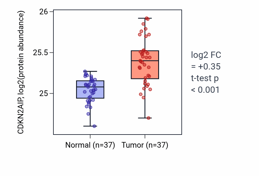 Tumor-vs-normal mass-spec protein box plot for CDKN2AIP in LUAD.