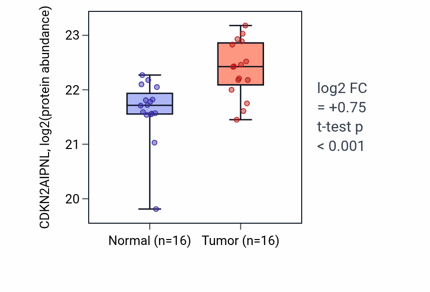Tumor-vs-normal mass-spec protein box plot for CDKN2AIPNL in CCRCC.